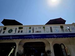 -Sirena海妖日咖夜酒