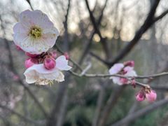 -北京鹫峰国家森林公园