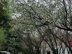 -西安市长乐公园