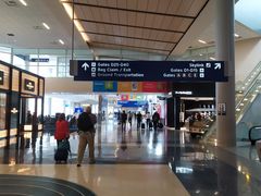 -达拉斯 沃斯堡国际机场