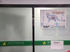 -半岛宠物医院24小时(科华中路店)