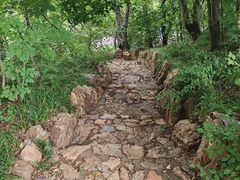 -大连植物园