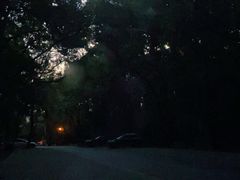 -紫霞湖公园