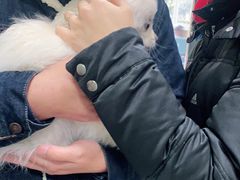 -申普宠物医院·眼科·心内科·影像科(普陀分院)