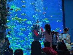 -南昌融创海世界