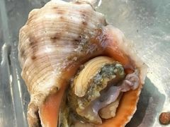 -胶东海鲜大排档(北太平庄店)
