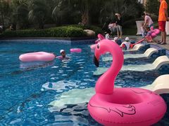 -上海浦东星河湾酒店