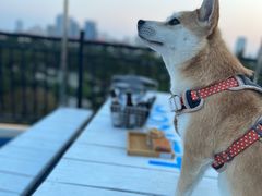 -莫内艺术岛海景咖啡