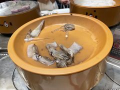 -龍歌自助小火锅(李沧丽达店)
