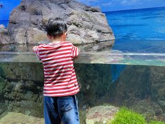 -江和美海洋公园