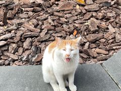 -龙华寺