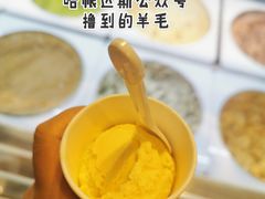 芒果单球-哈根达斯(虹口店)