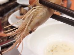 -瑞安辰茂阳光酒店自助餐