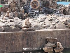 -合肥野生动物园