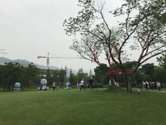 -长兴太湖图影湿地文化园