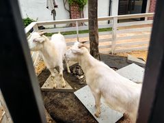 -云间粮仓