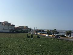 -涉地可支