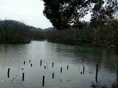 -同銮特种养殖场·龙虾垂钓