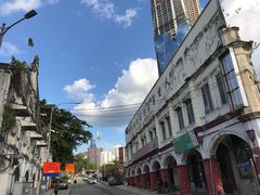 -罗汉果龙眼冰糖燉冬瓜