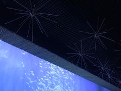 -西安华夏文旅水世界