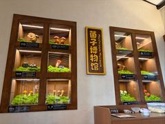 -菌自由丨野生菌火锅特色庭院餐厅(丽江古城店)