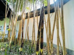 -杭州西湖风景名胜区-白苏二公祠