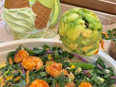 -油梨树 AVOCADO TREE(亮马桥店)