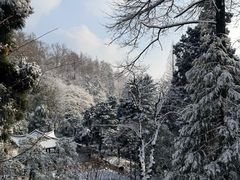 -莫干山风景区