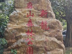 -黄埔油麻山森林公园