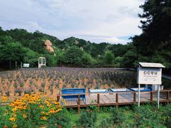 -云峰山自然风景区