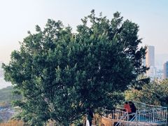 -鸿山公园
