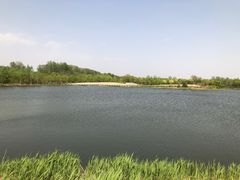 -东郊湿地公园