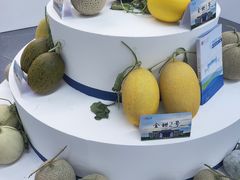 -南宁国际会展中心(会展东博文化旅游区)