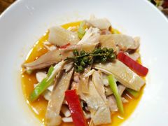 椒麻鸡-必点海鲜·鲅鱼水饺(鞍山西道店)
