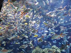 -成都浩海立方海洋公园