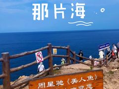 -杨梅坑