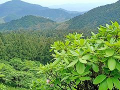 -天台山琼台仙谷景区
