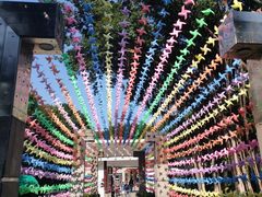 -船政文化景区-罗星塔公园