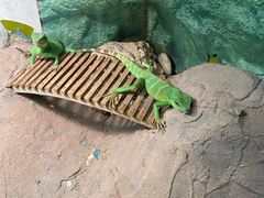-上海大自然野生昆虫馆(东方明珠·爬宠昆虫探索中心)