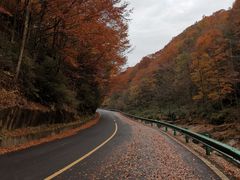 -光雾山十八月潭风景区-售票处