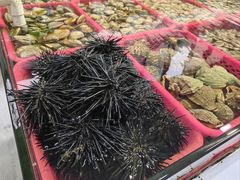 -板桥海鲜广场(文明东店)