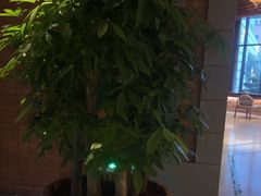 -浅深Cheersum(曹杨店)