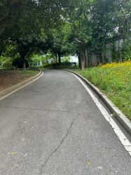 -长沙小顽国景区