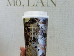 -东方墨兰(水游城店)