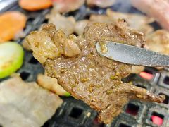 -星火东北碳火烤肉(华大店)