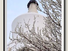 -北海公园
