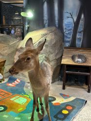 -酷嗒动物文化乐园(cutezoo西溪乐天城店)