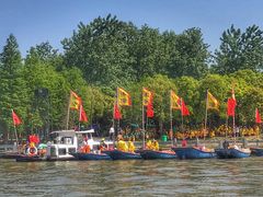 -溱湖国家湿地公园