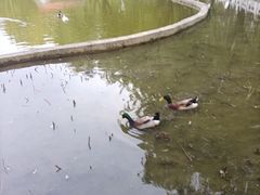 -丰台花园
