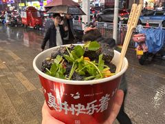 -黑色经典臭豆腐·湖南特产(坡子街店)